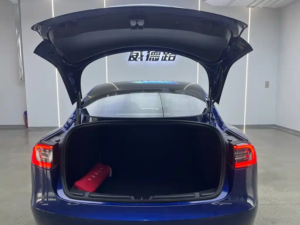 Model 3 2021 Rear-Wheel Drive Standard Range Upgrade Edition 3D1