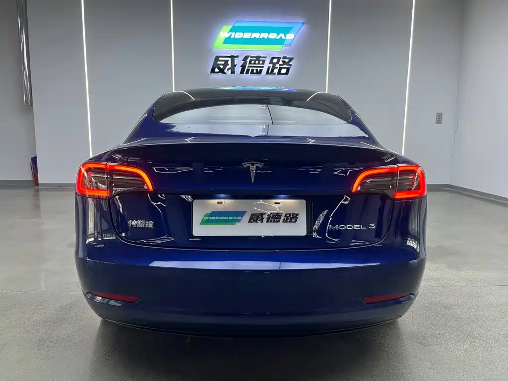 Model 3 2021 Rear-Wheel Drive Standard Range Upgrade Edition 3D1
