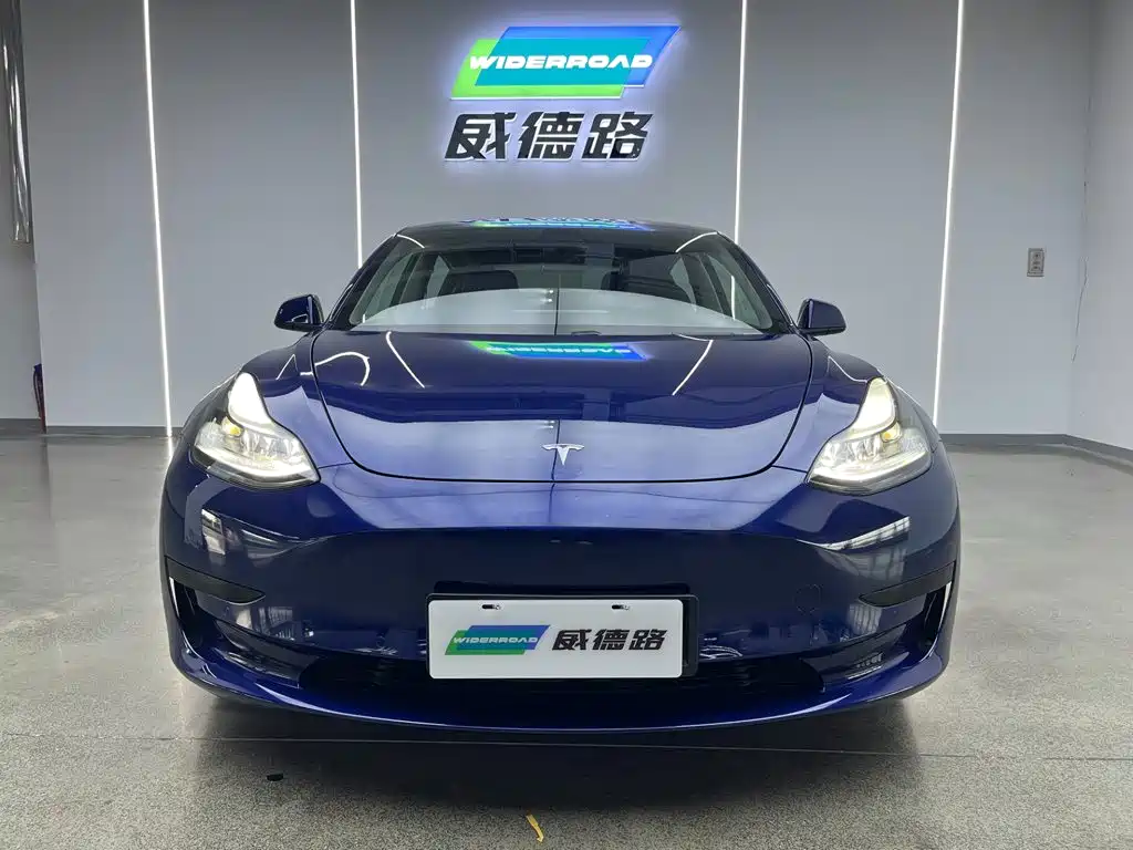 Model 3 2021 Rear-Wheel Drive Standard Range Upgrade Edition 3D1