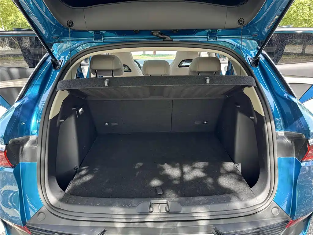 Yuan Plus 2024 Honor Edition 510KM Beyond Version