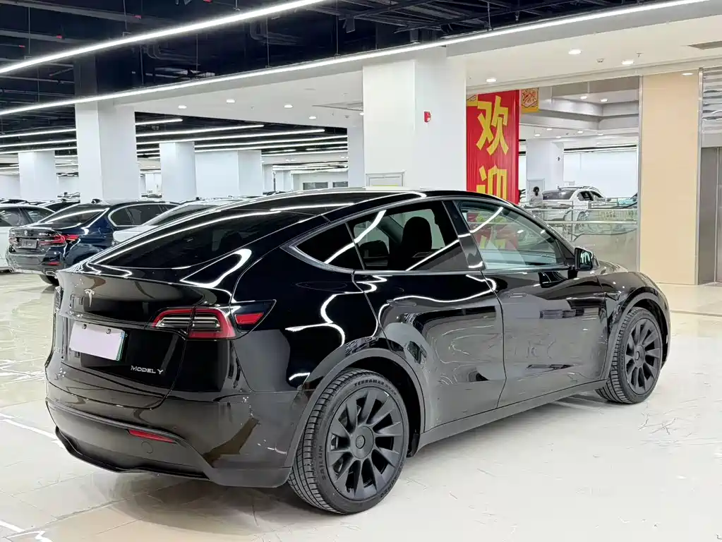 Model Y 2021 Standard Range Rear-Wheel Drive Edition