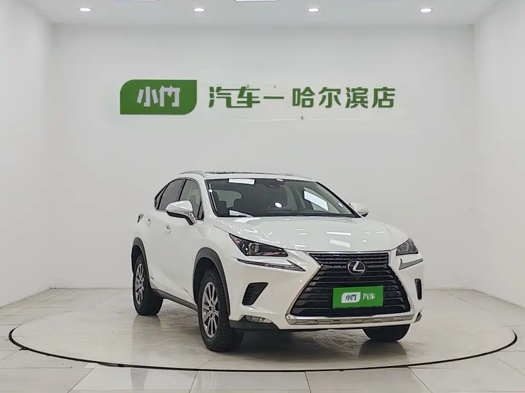 Lexus NX 2020 300h Front-wheel Drive Fengshang Edition National VI