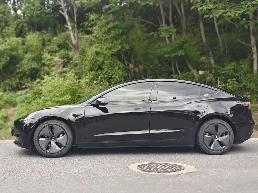 Model 3 Standard Range Rear-Wheel Drive Upgrade 2021