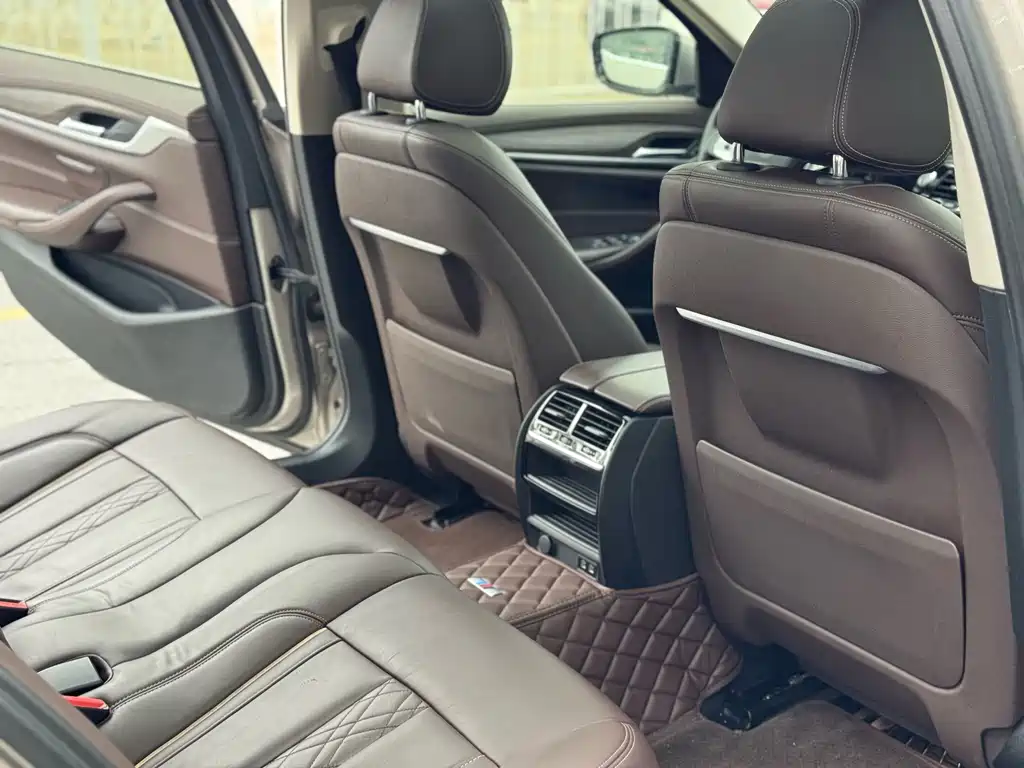 BMW 5 Series 2020 530Li Leading Edition Luxury Package