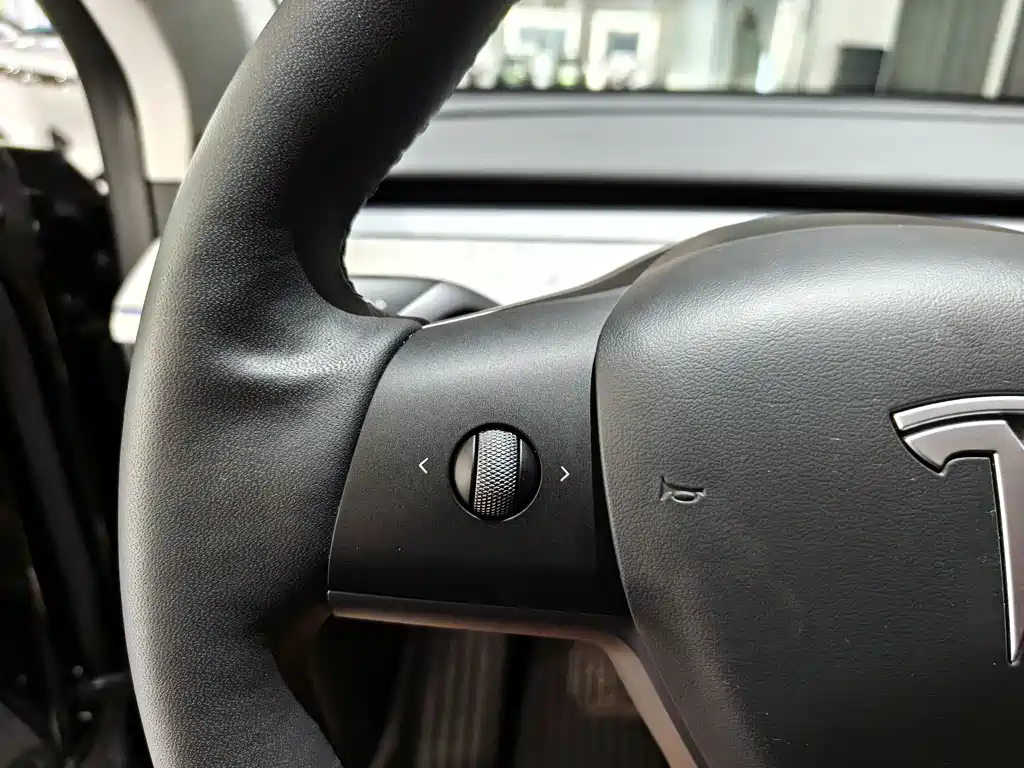 Model Y 2023 Rear-Wheel Drive Edition