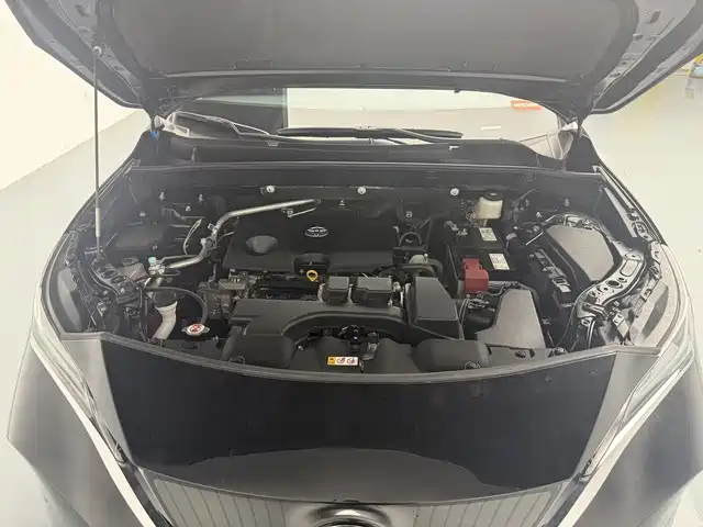 Lingfang Harrier 2022 2.0L CVT Two-Wheel Drive Premium Edition