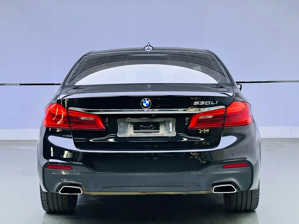 BMW 5 Series 2019 530Li Leading Edition M Sport Package