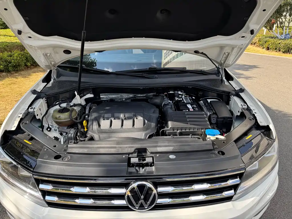 Tiguan L 2021 330 TSI Automatic Two-wheel Drive Smart Enjoy Edition