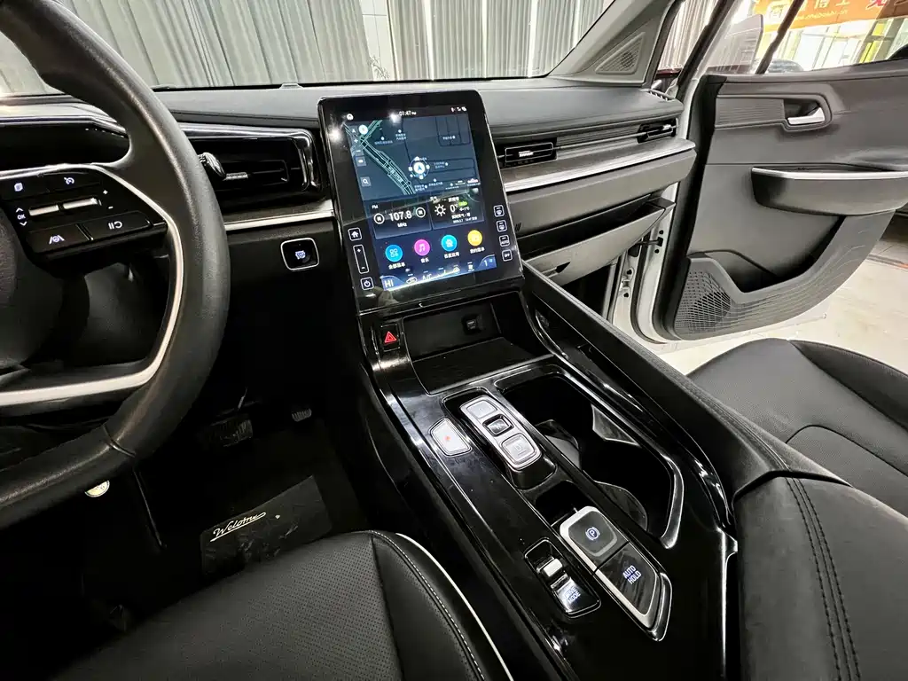 Kusatsu 2022 270TGDi Zhi'ai Flagship Edition TOP