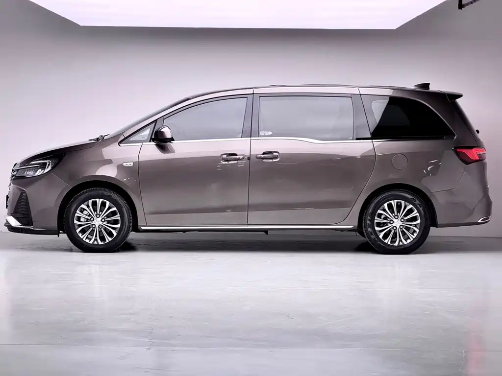Buick GL8 2022 Luxury Edition with Wheelchair Access