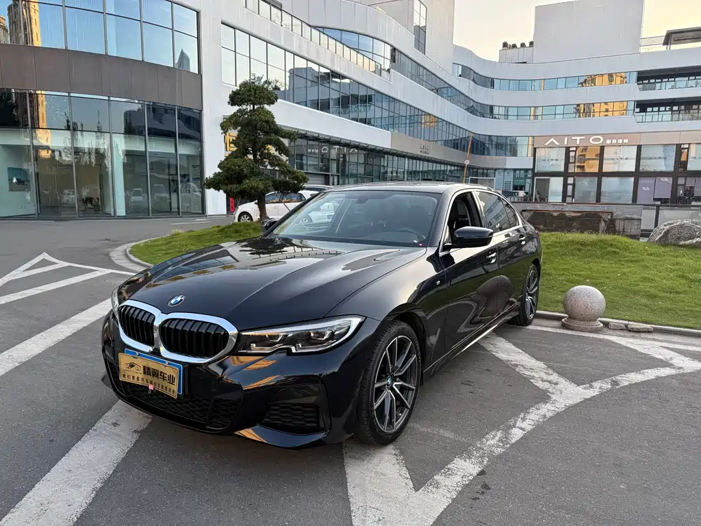 BMW 3 Series 2020 320Li M Sport Package