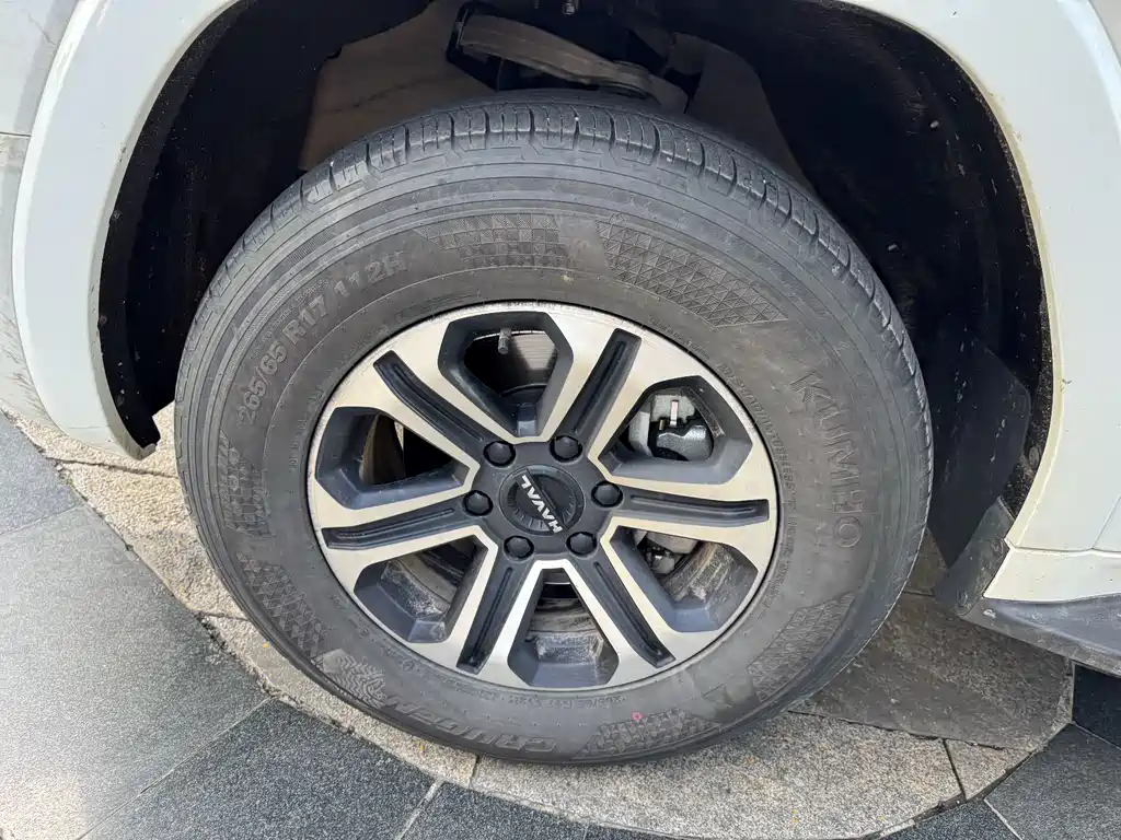 Haval H9 2024 Model 2.0T Gasoline 4WD Tengjing Edition