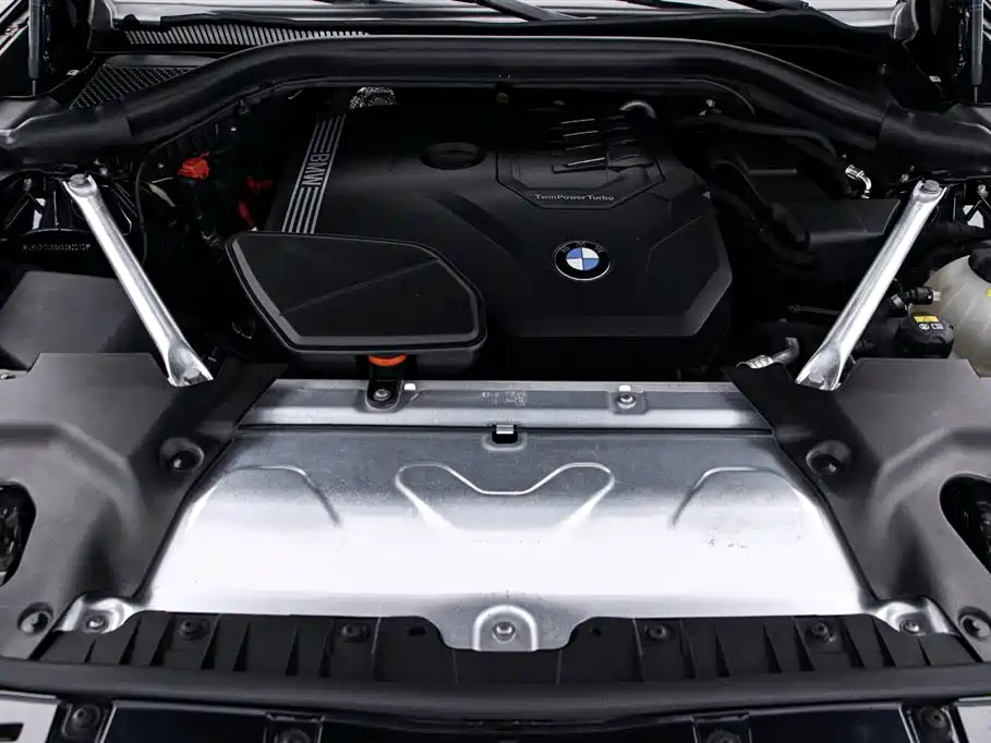 BMW X3 2022 xDrive30i Leading Edition M Night Edition