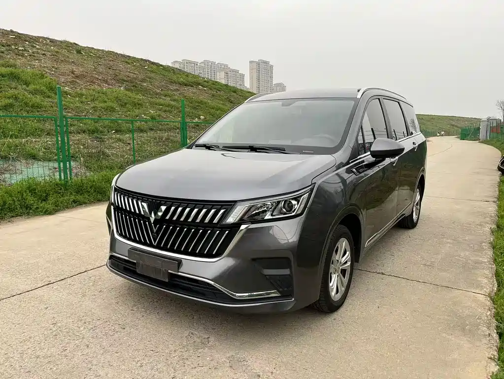 Wuling Jiachen 2022 1.5T Manual Shuxiang Liveliness Edition