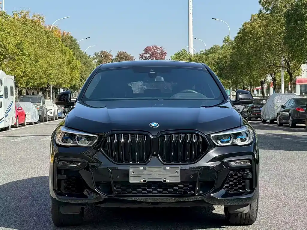 BMW X6 2020 xDrive40i M Sport Package