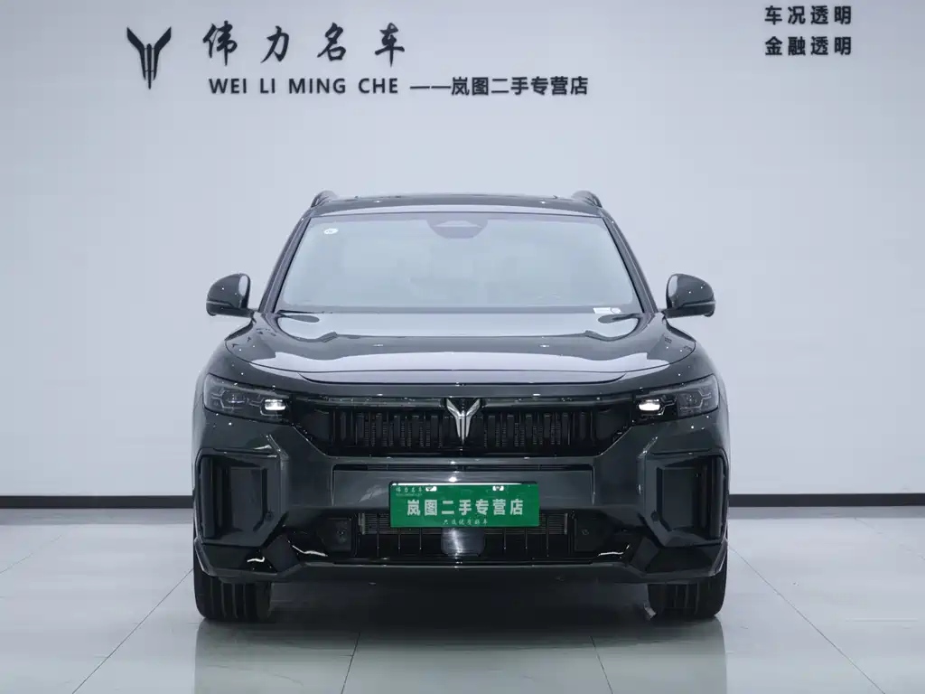 Lingtu FREE 2025 Edition 318 318km Rear-wheel Drive Global Edition