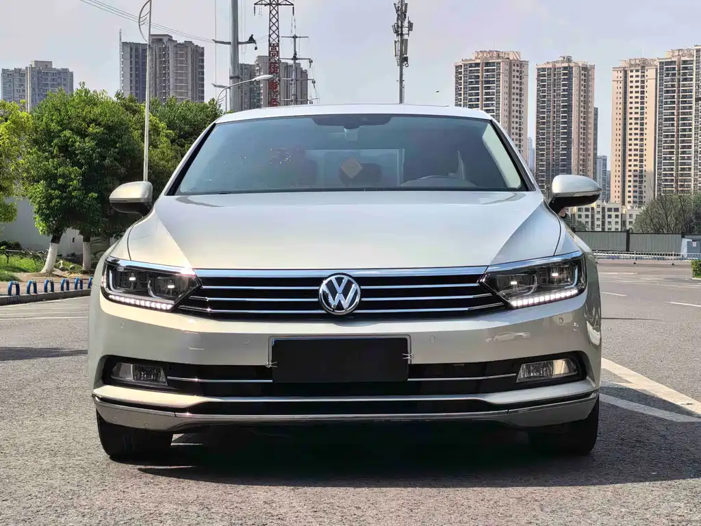 Magotan 2019 330TSI DSG Luxury Edition National V