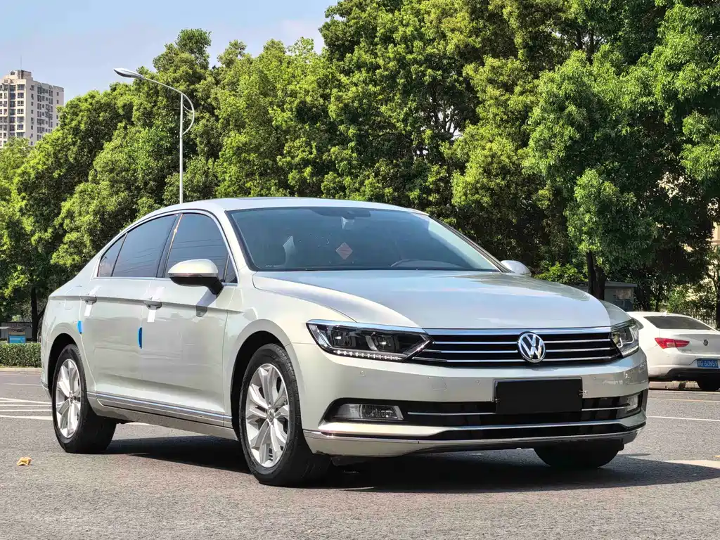 Magotan 2019 330TSI DSG Luxury Edition National V