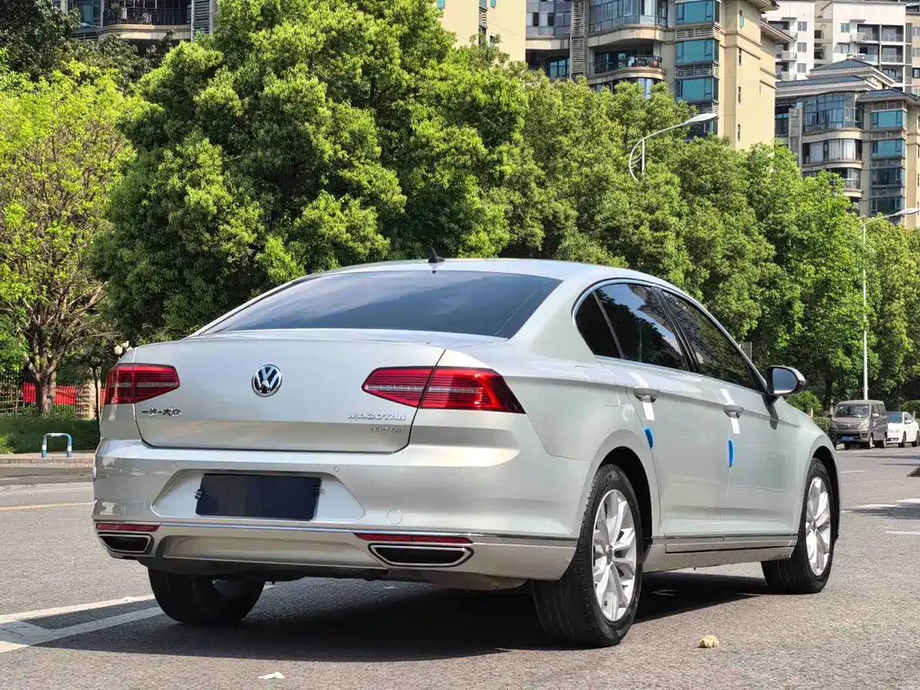 Magotan 2019 330TSI DSG Luxury Edition National V