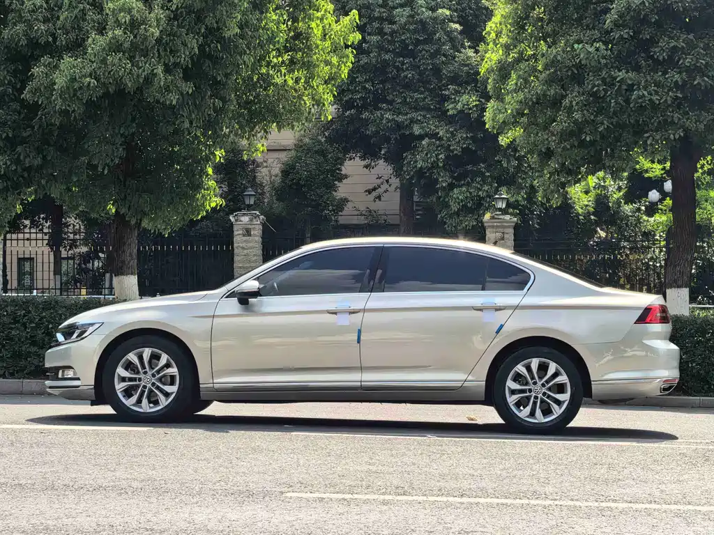 Magotan 2019 330TSI DSG Luxury Edition National V