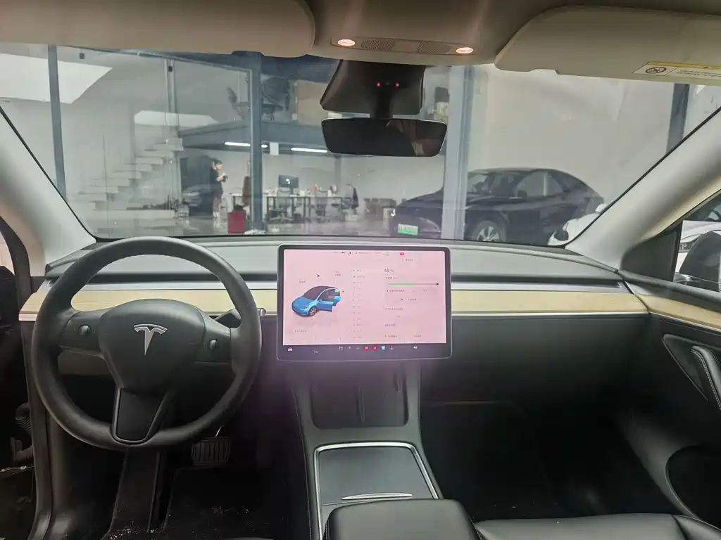 Model Y 2022 Rear-Wheel Drive Edition