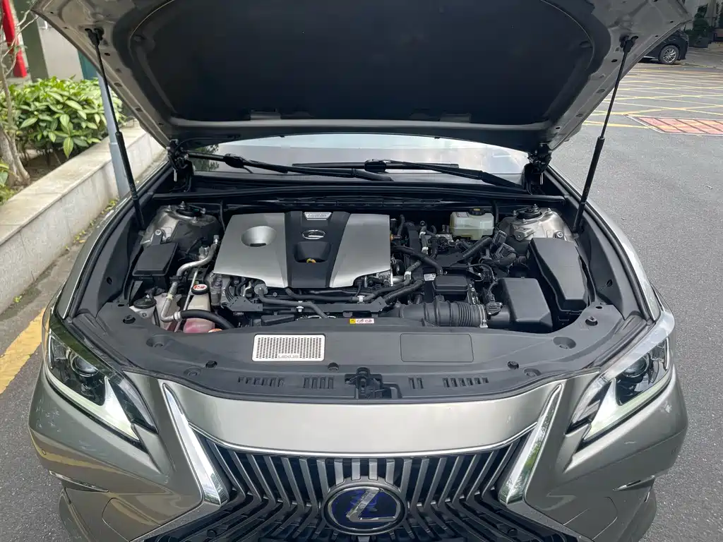 Lexus ES 2018 300h Excellence Edition National V