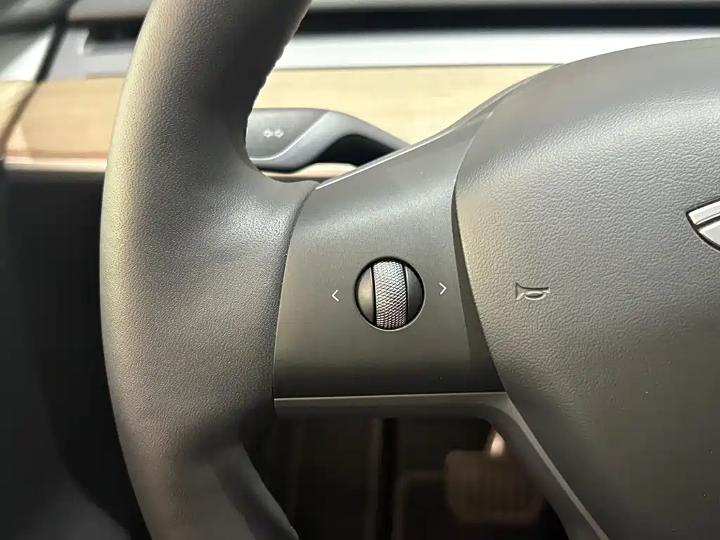 Model Y 2022 Rear-Wheel Drive Edition