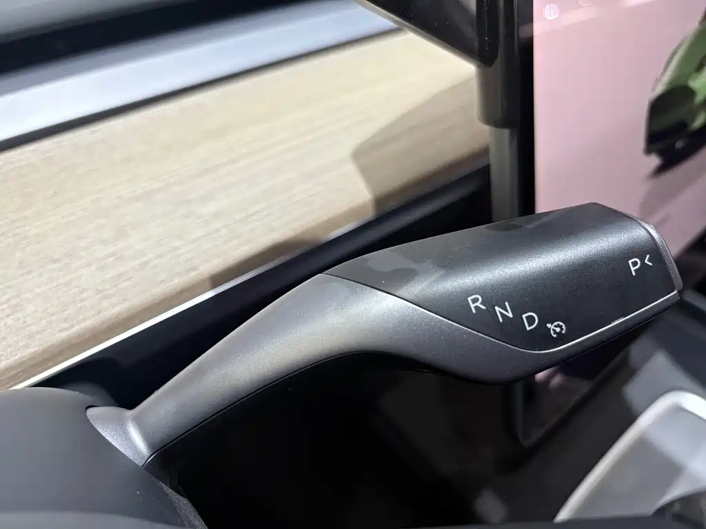 Model Y 2022 Rear-Wheel Drive Edition
