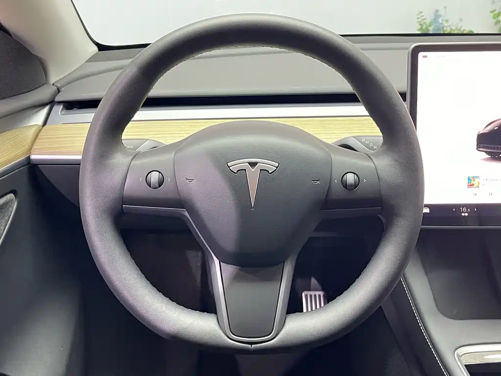 Model Y 2022 Rear-Wheel Drive Edition