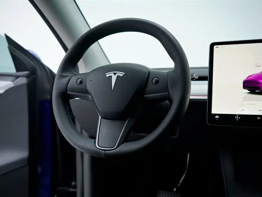 Model Y 2023 Rear-Wheel Drive Edition