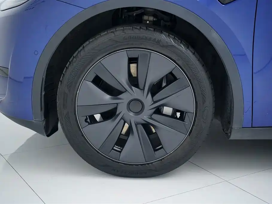 Model Y 2023 Rear-Wheel Drive Edition