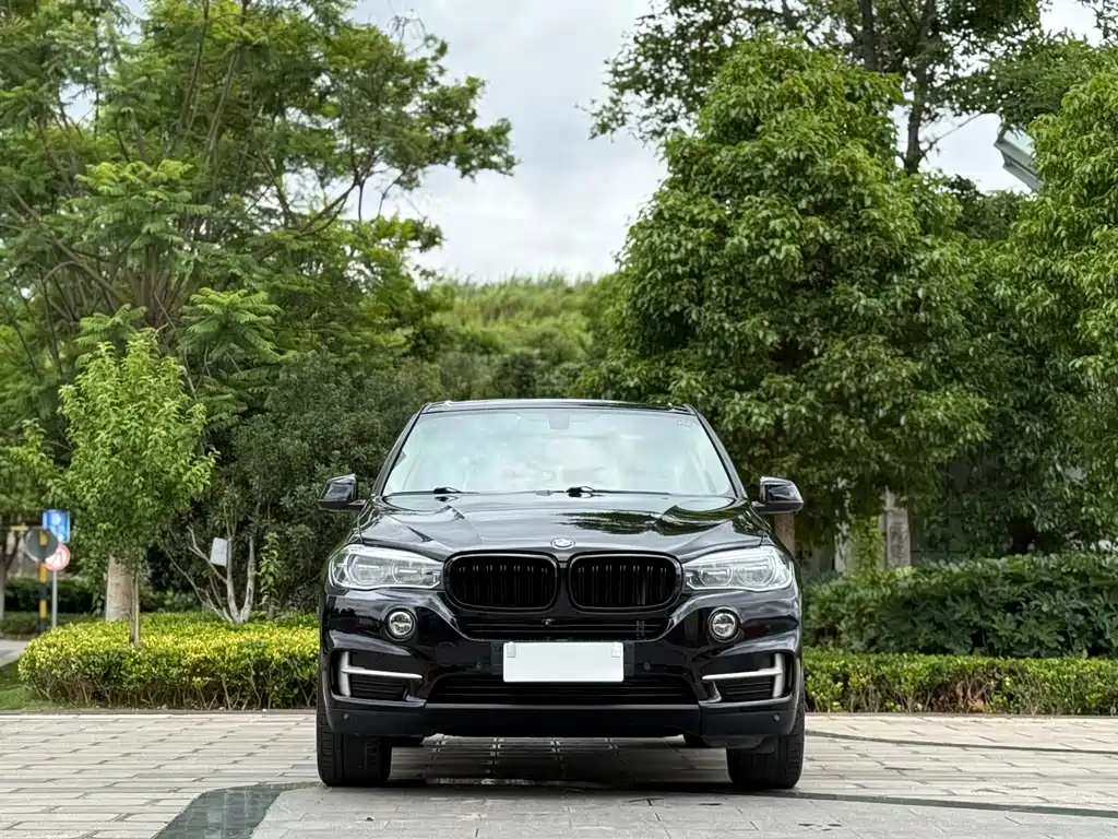 BMW X5 Import 2018 xDrive35i Elegant Edition