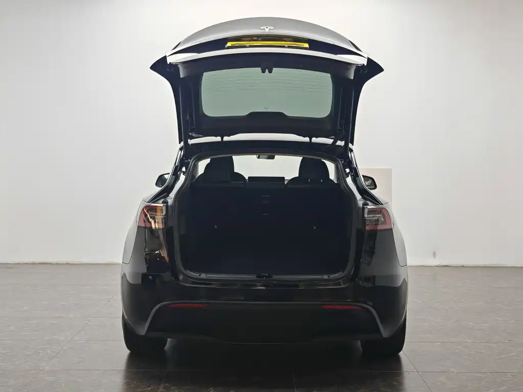 Model Y 2022 Rear-Wheel Drive Edition