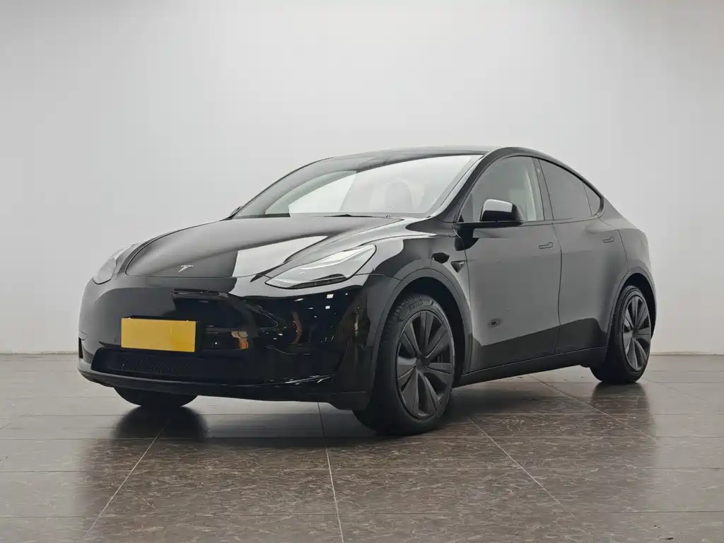 Model Y 2022 Rear-Wheel Drive Edition