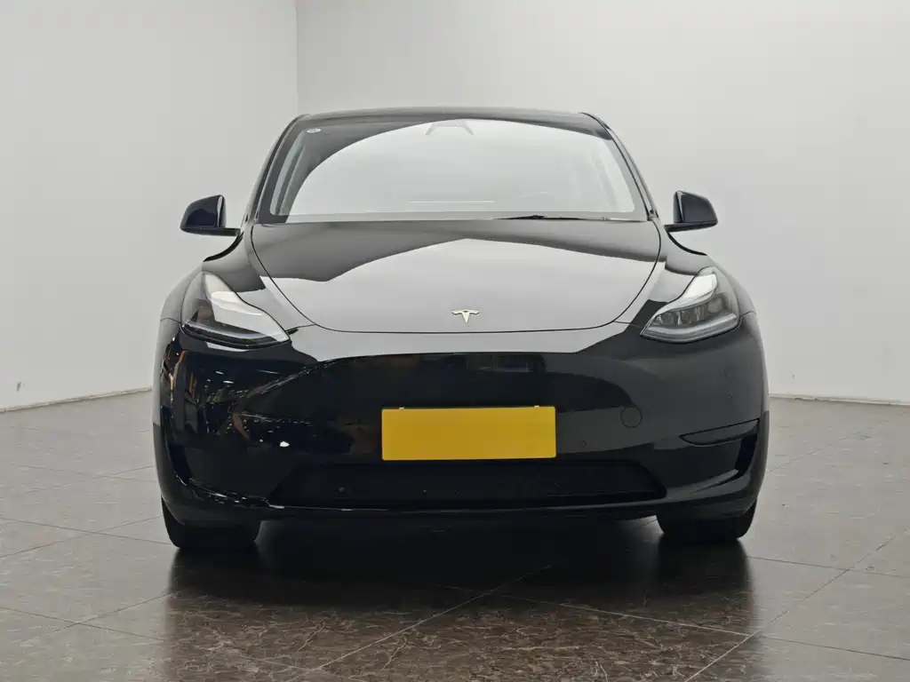 Model Y 2022 Rear-Wheel Drive Edition
