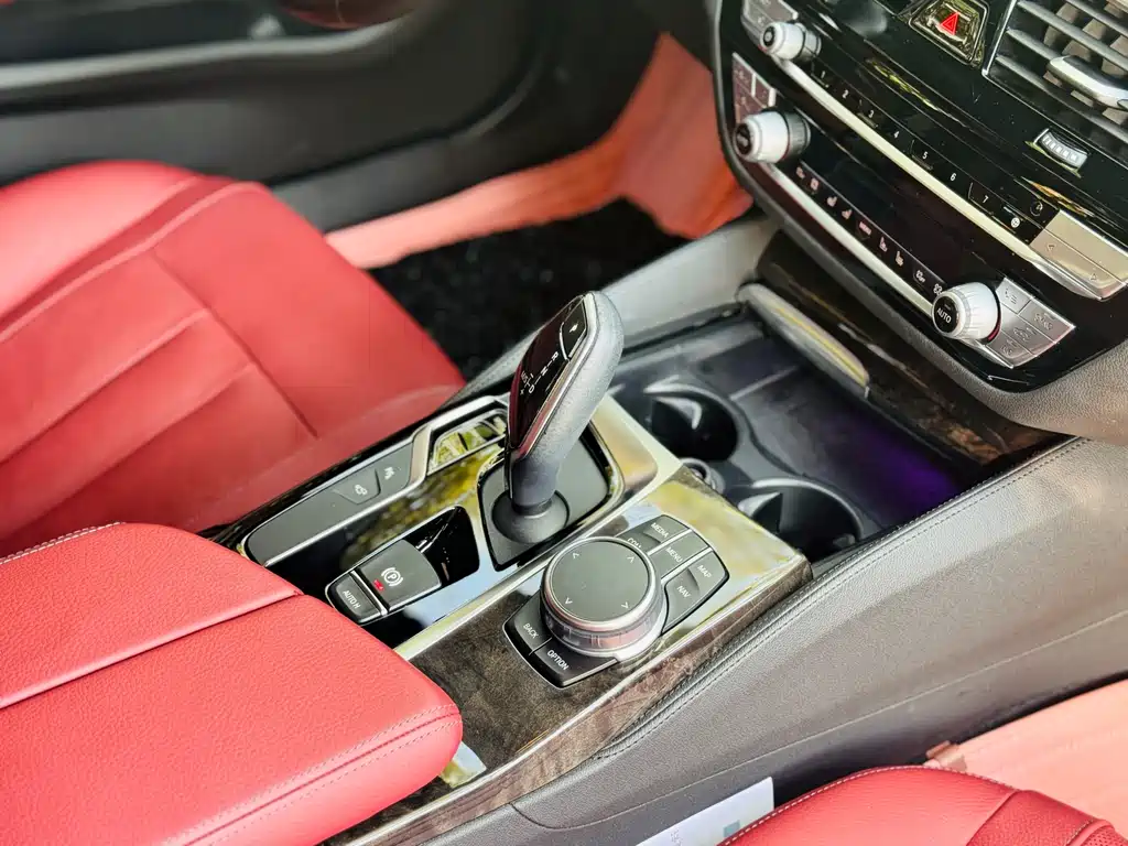 BMW 5 Series 2020 530Li Luxury Edition M Sport Package