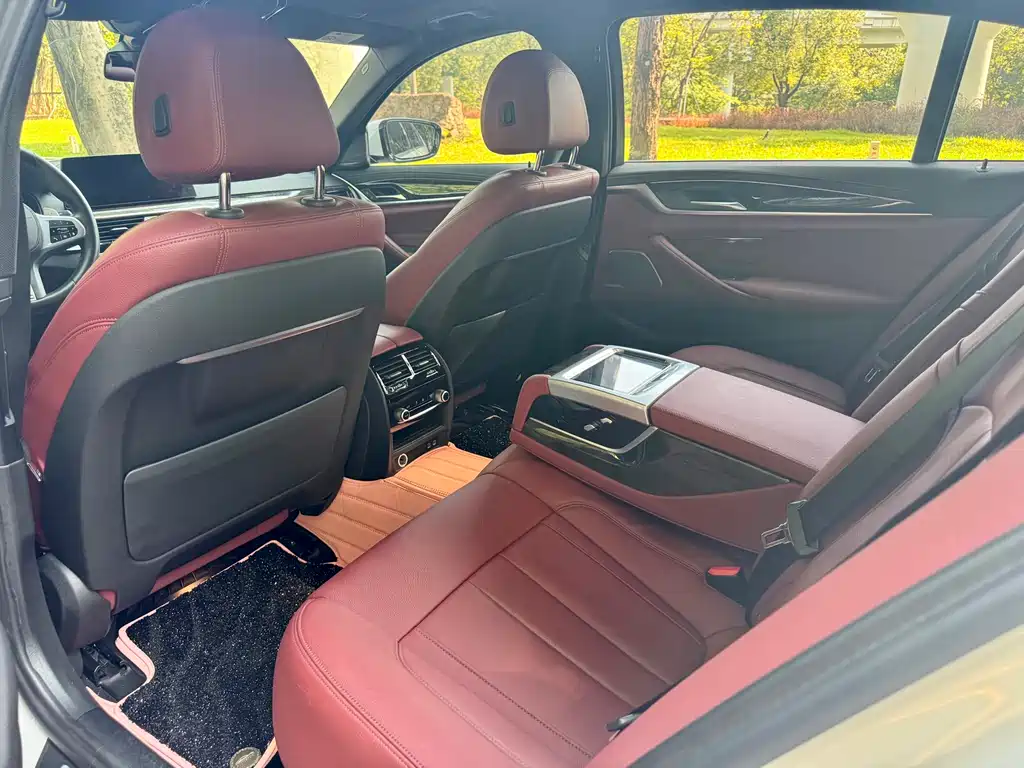 BMW 5 Series 2020 530Li Luxury Edition M Sport Package