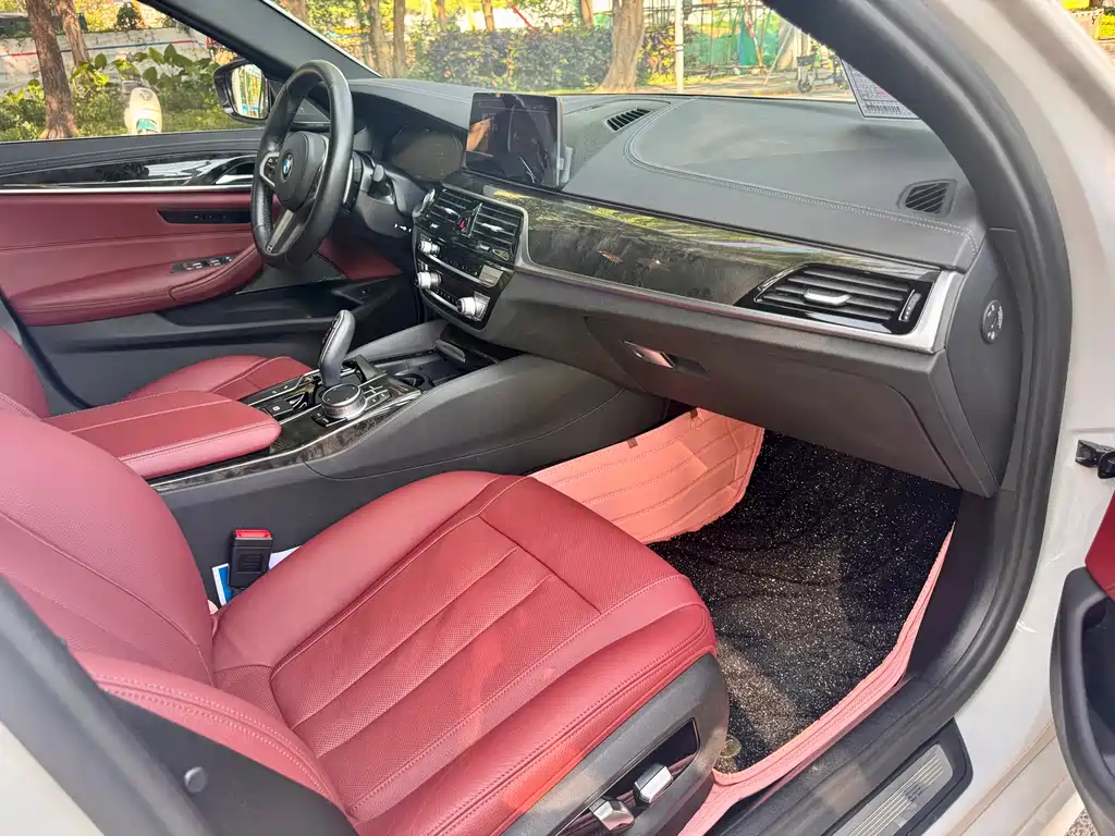 BMW 5 Series 2020 530Li Luxury Edition M Sport Package