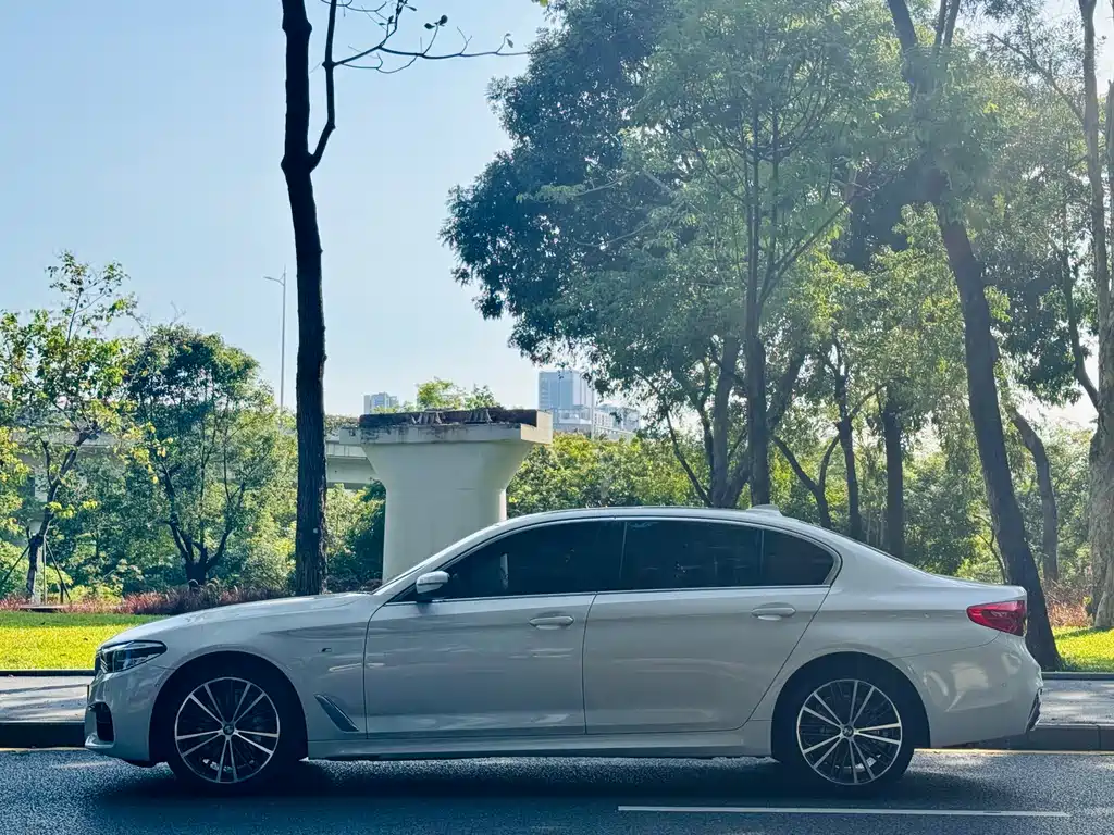 BMW 5 Series 2020 530Li Luxury Edition M Sport Package