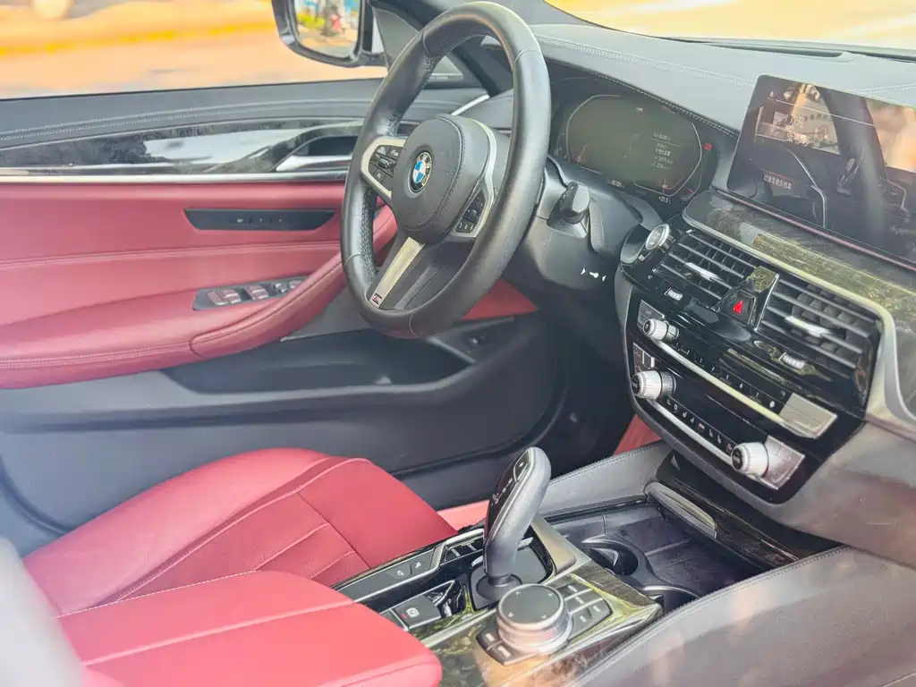 BMW 5 Series 2020 530Li Luxury Edition M Sport Package