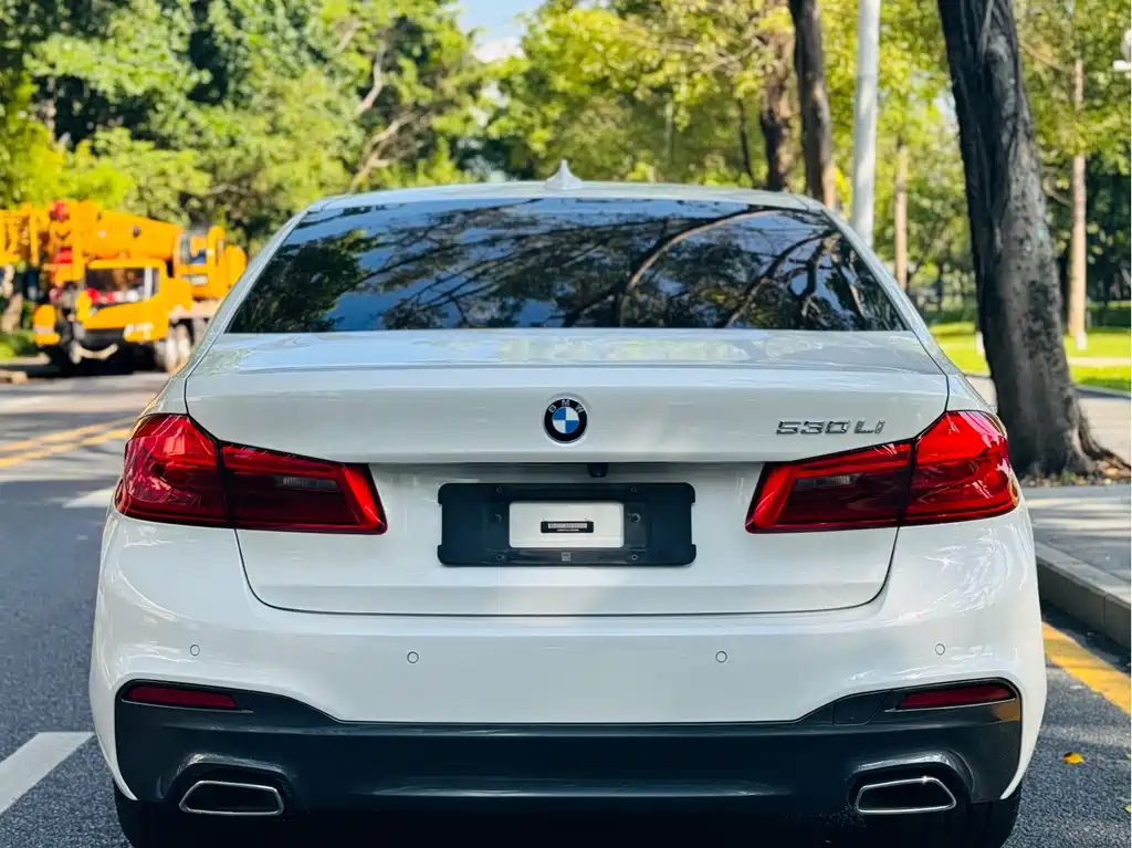 BMW 5 Series 2020 530Li Luxury Edition M Sport Package