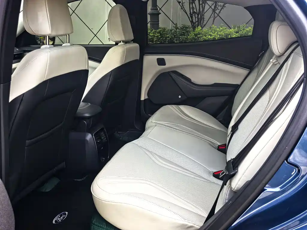 Ford Mustang 2021 Long Range Luxury Edition Rear Drive