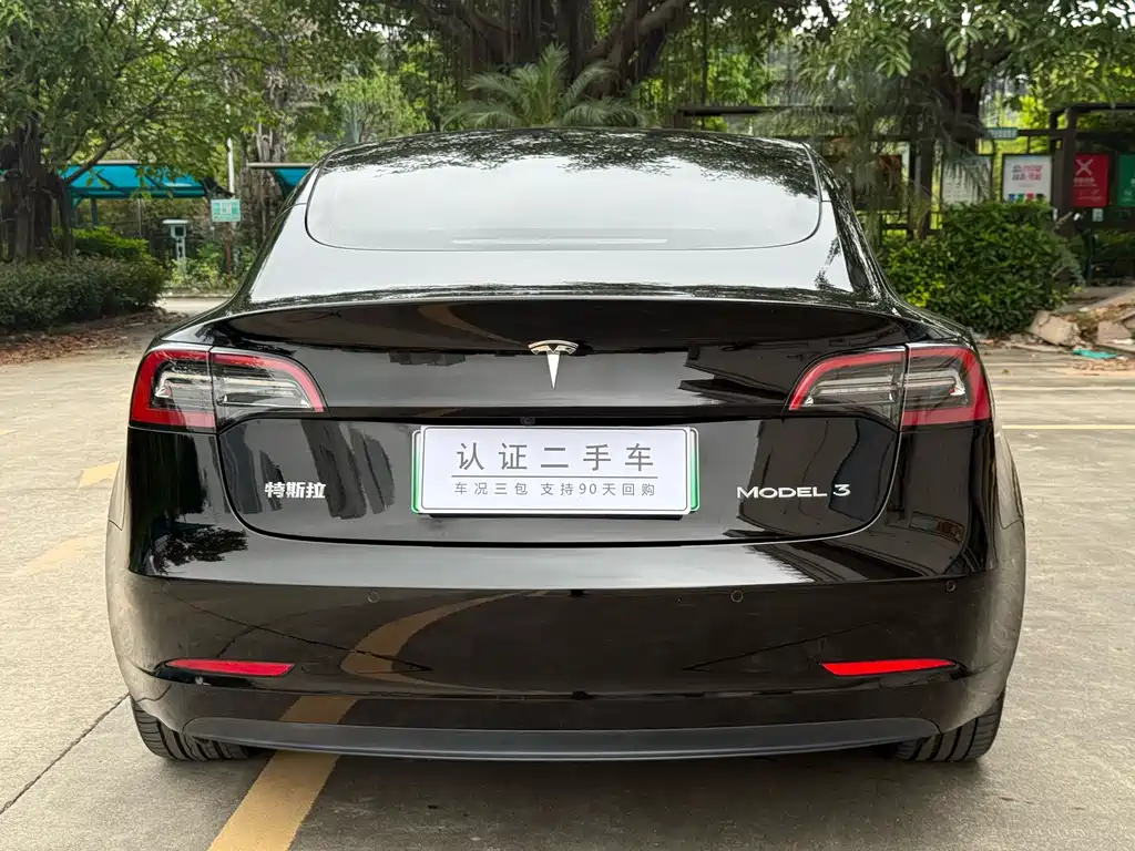 Model 3 Standard Range Rear-Wheel Drive Plus 2021