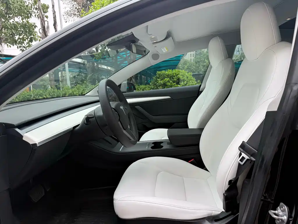 Model 3 Standard Range Rear-Wheel Drive Plus 2021