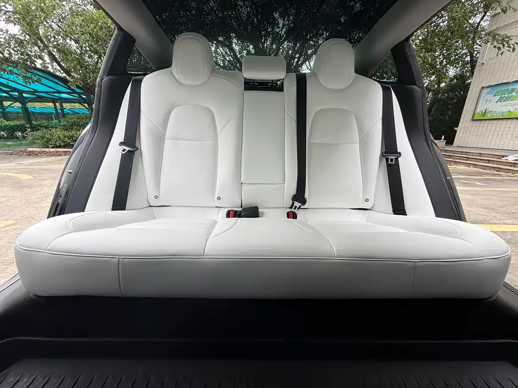 Model 3 Standard Range Rear-Wheel Drive Plus 2021