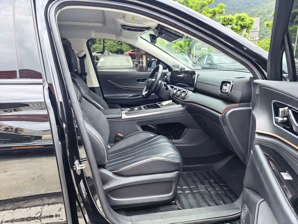 Ruihu 9 2023 Edition 2.0T Dual Clutch 2WD Luxury Version 5-seat