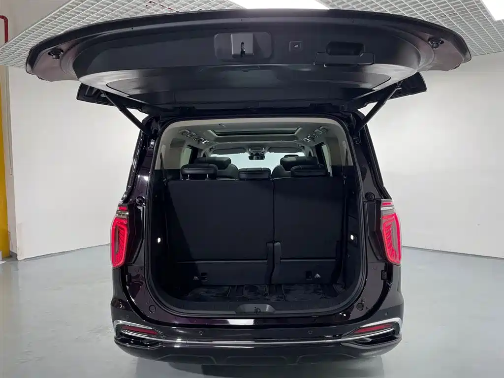 红旗HQ9 PHEV 2024 Edition 2.0T All-Wheel Drive Luxury Version