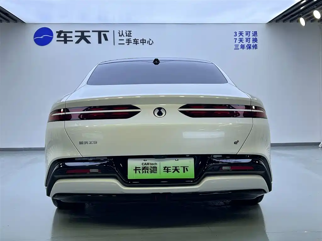 Tengri Z9 2024 Model 1100km All-Wheel Drive Max Edition