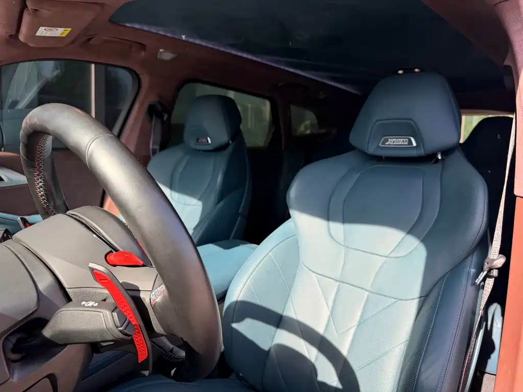 BMW XM 2023 Basic Model