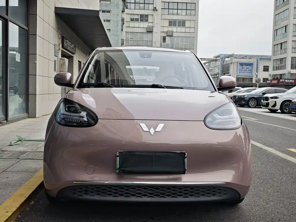 Wuling BenGuo 2023 203km Shuxiang Edition
